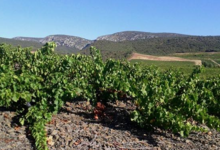 Domaine La Toupie