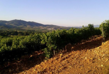 Domaine La Toupie