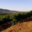 Domaine La Toupie