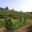 Domaine La Toupie