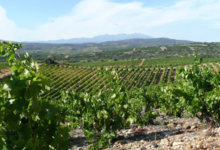 Domaine La Toupie