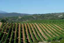 Domaine La Toupie