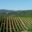 Domaine La Toupie