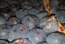 Mas dels Miquels, figues