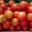 Mas dels Miquels, tomates