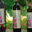 Le moulin de Llevant, huile d'olive de variété Olivière et Redouneil