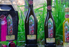 Le moulin de Llevant, huile d'olive de variété Olivière et Redouneil en fruité vert