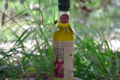 Le moulin de Llevant, huile d'olive au basilic