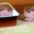Guasch, pâté de tête