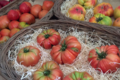 domaine des 4 saisons, Tomates