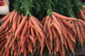 Le jardin bio de Laurie, carottes