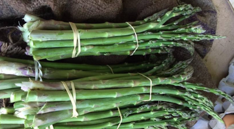 Le jardin bio de Laurie, asperges vertes