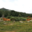 GAEC La Vaca Preciosa