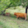 GAEC La Vaca Preciosa