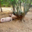GAEC La Vaca Preciosa