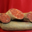 Chez Alex, chorizo doux