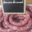 Charcuterie Marty, saucisse de canard