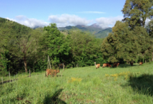 Ferme du moli d'en dagues