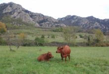 Ferme du moli d'en dagues