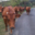 Ferme du moli d'en dagues