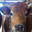 Ferme du moli d'en dagues