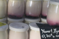 Gaec Paysans du soleil, yaourt myrtille