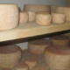 Gaec Paysans du soleil, Tomme au lait cru