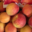 Amethyste-fruits, abricots rouges du Roussillon