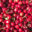 Amethyste-fruits