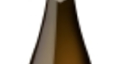 Champagne Millésime 2013 - 100% Pinot Noir
