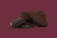 Biscuiterie Jeannette 1850, Theobroma - madeleine chocolat