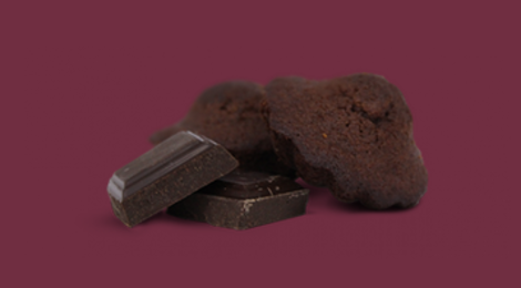 Biscuiterie Jeannette 1850, Theobroma - madeleine chocolat