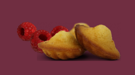 Biscuiterie Jeannette 1850, SCARLET - 8 madeleines FRAMBOISE