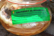 Mas Terregalls, salpiquet de Mongetes