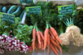 Les légumes bio de Romain, carottes