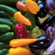 Les légumes bio de Romain, aubergines