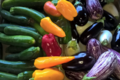 Les légumes bio de Romain, aubergines