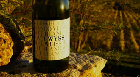 Domaine Verena Wyss, Wyssvin
