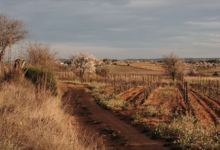 La Font des Ormes