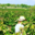 Domaine La Vivarelle