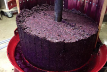 Domaine La Vivarelle