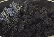 Domaine La Vivarelle