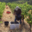 Domaine La Vivarelle