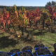 Domaine la Calmette