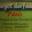 L'escargot du Faurou, pâtés d'escargots