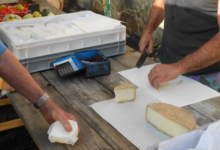 Fromages de la Bernouse, tomme de chèvre