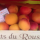 L'abricotine, abricots du Roussillon