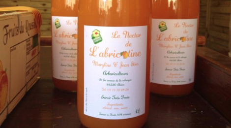 L'abricotine, nectar d'abricots du Roussillon