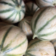 EARL du Mas Ay, melons