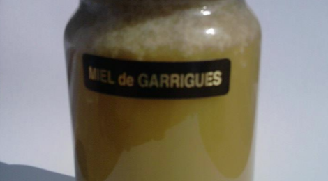 Du miel à Collias, miel de Garrigues